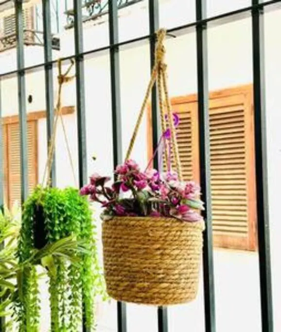 Logement Vieux Centre Marbella Apartment