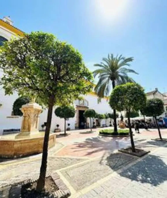Apartment Logement Vieux Centre Marbella