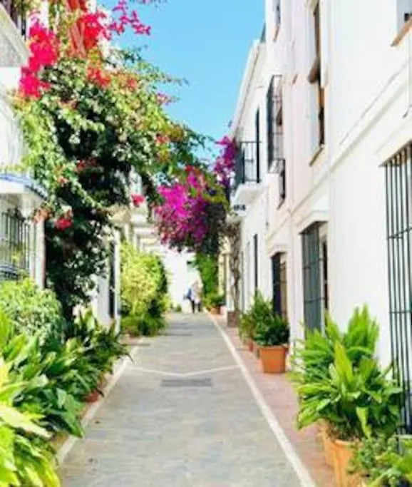 Logement Vieux Centre Marbella Spain